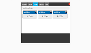 Custom Balance sheet