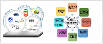 Web Consulting Services Provider